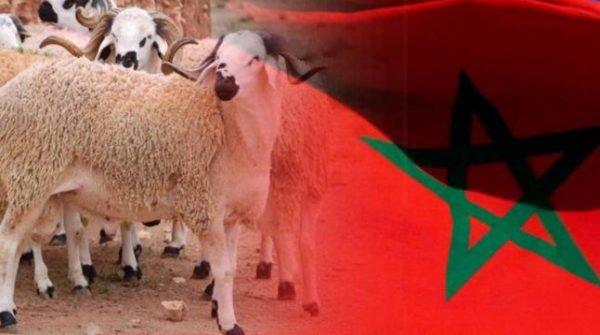 Photo of مركز دولي للفلك يكشف موعد أول أيام عيد الأضحى “حسابيا” بالمغرب