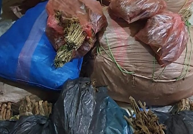 Photo of ضبط متهم بترويـ.ـج المخدرات في حد بوموسى