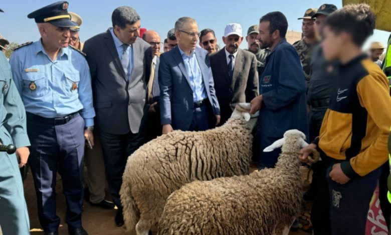 Photo of والي جهة بني ملال خنيفرة يتفقد سوق الأضاحي و يحث على محاربة المضاربة
