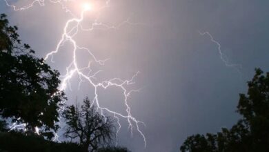 Photo of زخات رعدية محليا قوية مرتقبة يومي الأربعاء و الخميس بعدد من مناطق المملكة