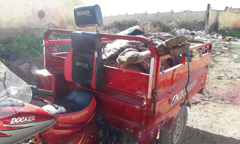 Photo of لحوم وألبان وأسماك تُباع بلا رقابة بإقليم الفقيه بن صالح: قلق متزايد لدى المواطنين