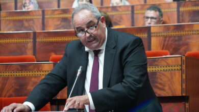 Photo of وزير التعليم العالي يشدد على ترسيخ مكانة الطالب و توسيع قاعدة المستفيدين من المنح الجامعية