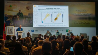 Photo of منتدى دولي بمكناس يناقش تربية الماشية و دورها في تعزيز الأمن الغذائي و الإستدامة