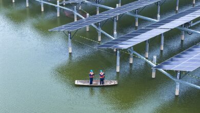 Photo of الصين تواصل ترسيخ إنجازاتها في القضاء على الفقر و تدفع النهضة الشاملة للريف