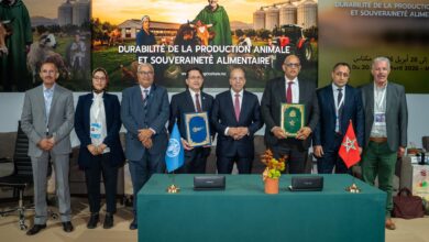 Photo of المغرب يعزز الفلاحة التراثية عبر شراكة استراتيجية مع منظمة الأغذية و الزراعة للأمم المتحدة