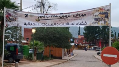 Photo of افتتاح مهرجان الزيتون بشلالات أوزود في دورته الثانية لتعزيز التنمية المحلية والسياحة بأزيلال