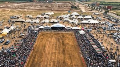 Photo of تظافر الجهود بين مختلف المتدخلين والترتيبات الأمنية وراء نجاح موسم أولاد إبراهيم