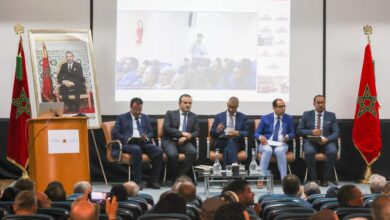 Photo of وزارة الانتقال الطاقي تعرض فرص الإستثمار المنجمي بتافيلالت و فجيج عبر إعلان عمومي للمنافسة