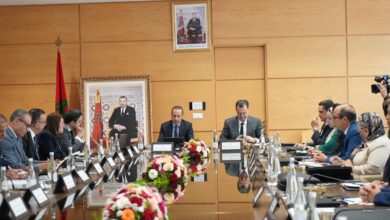 Photo of التهراوي يترأس الدورة الثانية للمجلس الإداري للمجموعة الصحية الترابية بجهة طنجة‑تطوان‑الحسيمة