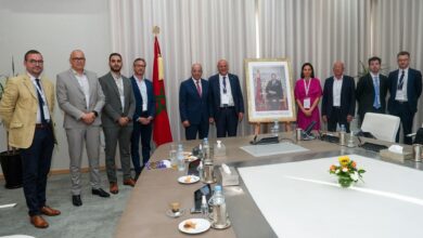 Photo of أحمد البواري يستقبل وفداً فرنسياً لتعزيز التعاون الفلاحي و تطوير الصناعات الغذائية