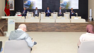 Photo of المجلس الاقتصادي و الاجتماعي يصادق على رأيين حول الدوار و التنمية القروية و حماية البيئة